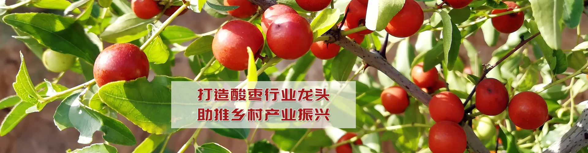 濟(jì)寧正邦表面處理劑有限公司